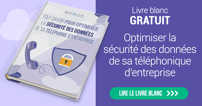 Livre Blanc : Sécurité des données