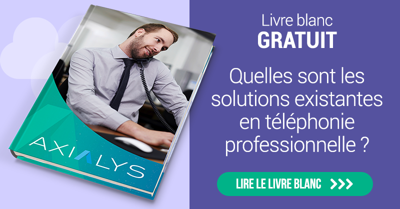 solutions existantes en téléphonie professionnelle