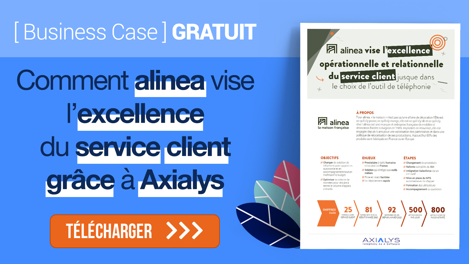 cas client alinea axialys