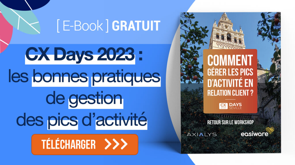 ebook pics d'activité séville cx days